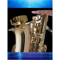 管乐通用弱音器乐器罩垫消音静音萨克斯小号长号圆号大号唢呐黑管